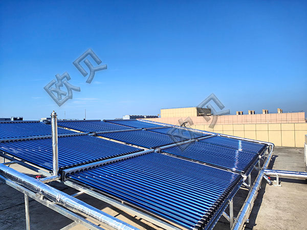 【視頻】天津產學研定制太陽能空氣能組合污泥烘干項目